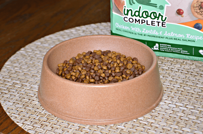 Rachel ray indoor cat food hotsell