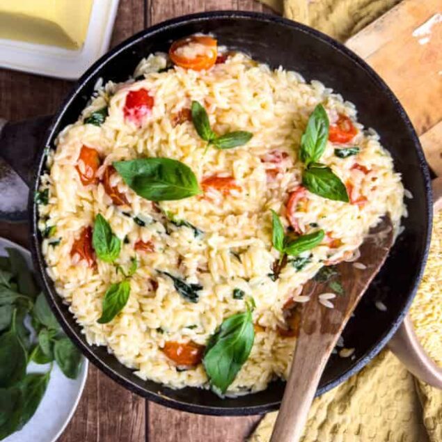 cropped-Orzo-Pasta-Feature-photo.jpg
