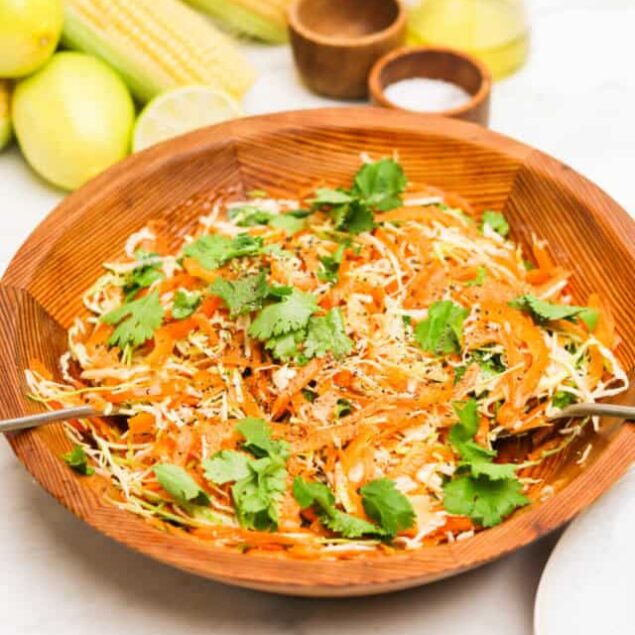 Mexican Coleslaw with Cilantro Lime Dressing Feature Photo-4