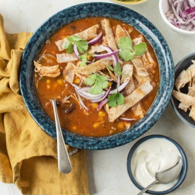 Chicken Enchilada Soup