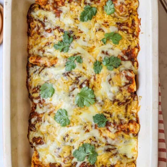 Gluten-Free Enchiladas