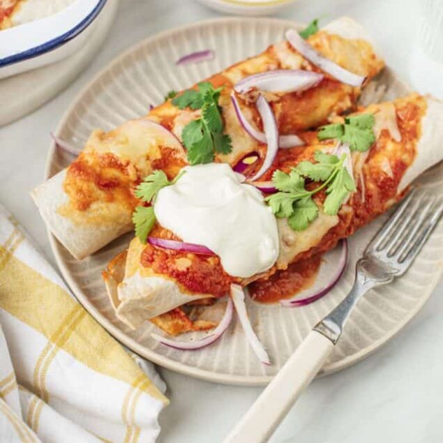 Healthy Chicken Enchiladas