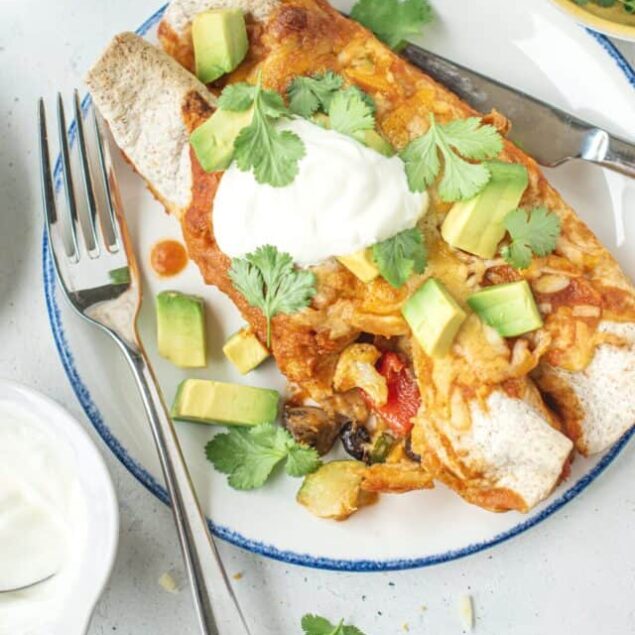 Roasted Vegetable Enchiladas
