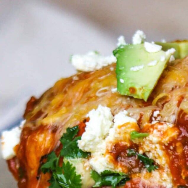 Vegeterian Enchiladas