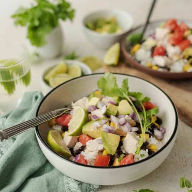 cropped-burrito-bowl-recipe-a_burrito_bowl_feature_2.jpeg