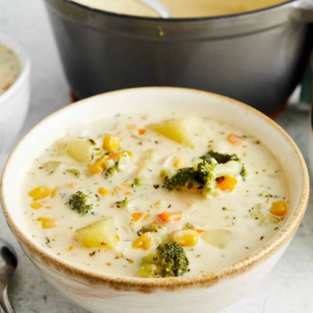 cropped-creamy-vegetable-soup-a_aam_creamy-vegetable-soup21789_features_4-2.jpeg