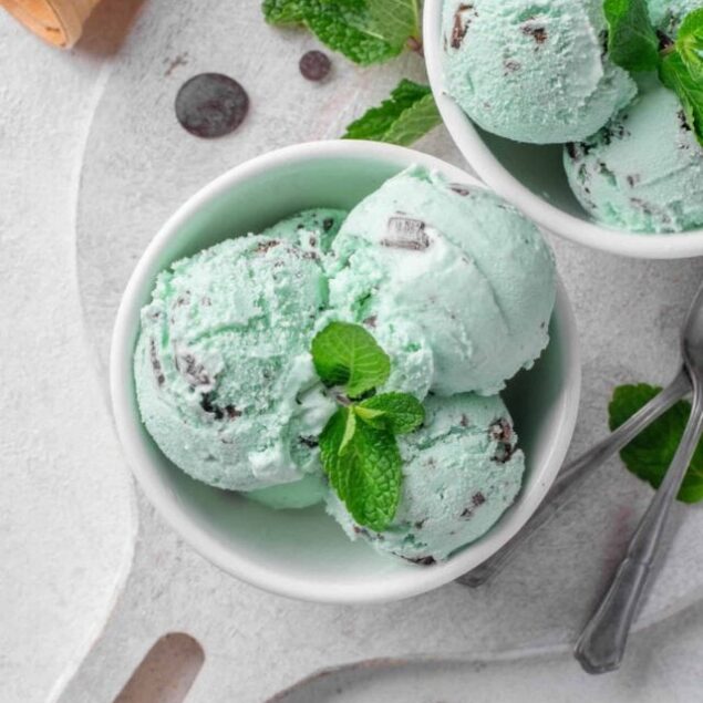 cropped-mint_chocolate_chip_ice_cream_recipe-feature-1.jpeg