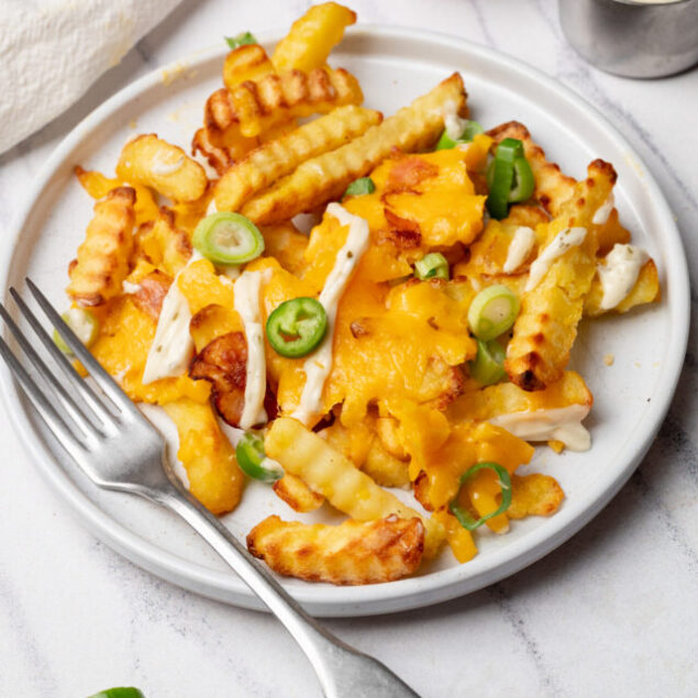 cropped-a-loaded_fries-none-0.jpeg