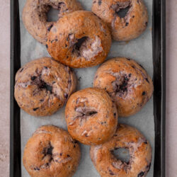 Eight freshly baked blueberry bagels on a parchment-lined baking sheet.