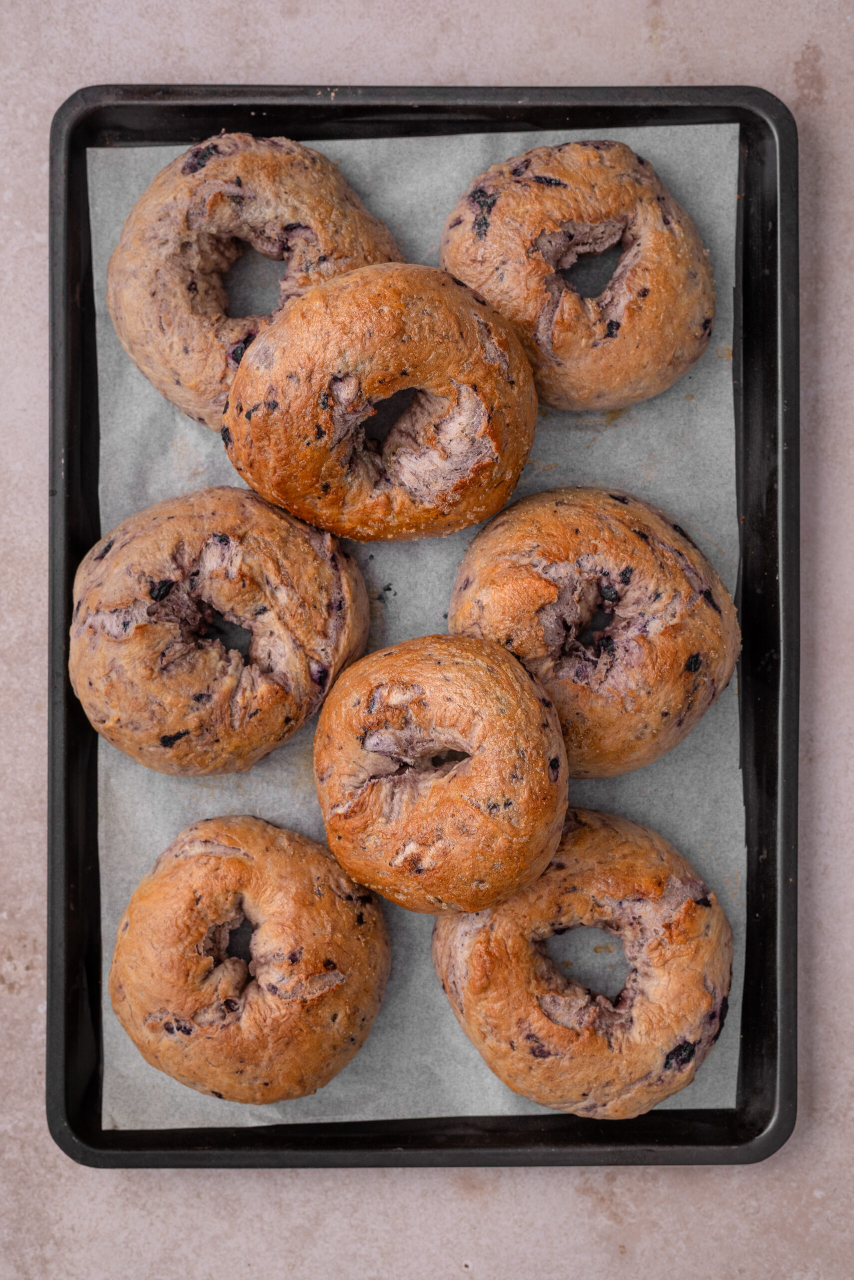 Eight freshly baked blueberry bagels on a parchment-lined baking sheet.