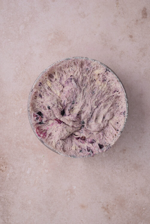 Blueberry bagel dough, mixed with blueberries, rising in a lightly oiled bowl.
