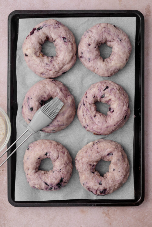 Brushing boiled blueberry bagels with egg white on a parchment-lined baking sheet.