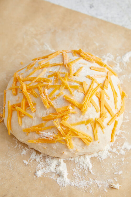 Shaping cheese bread dough into a round loaf, topped with shredded cheddar cheese.