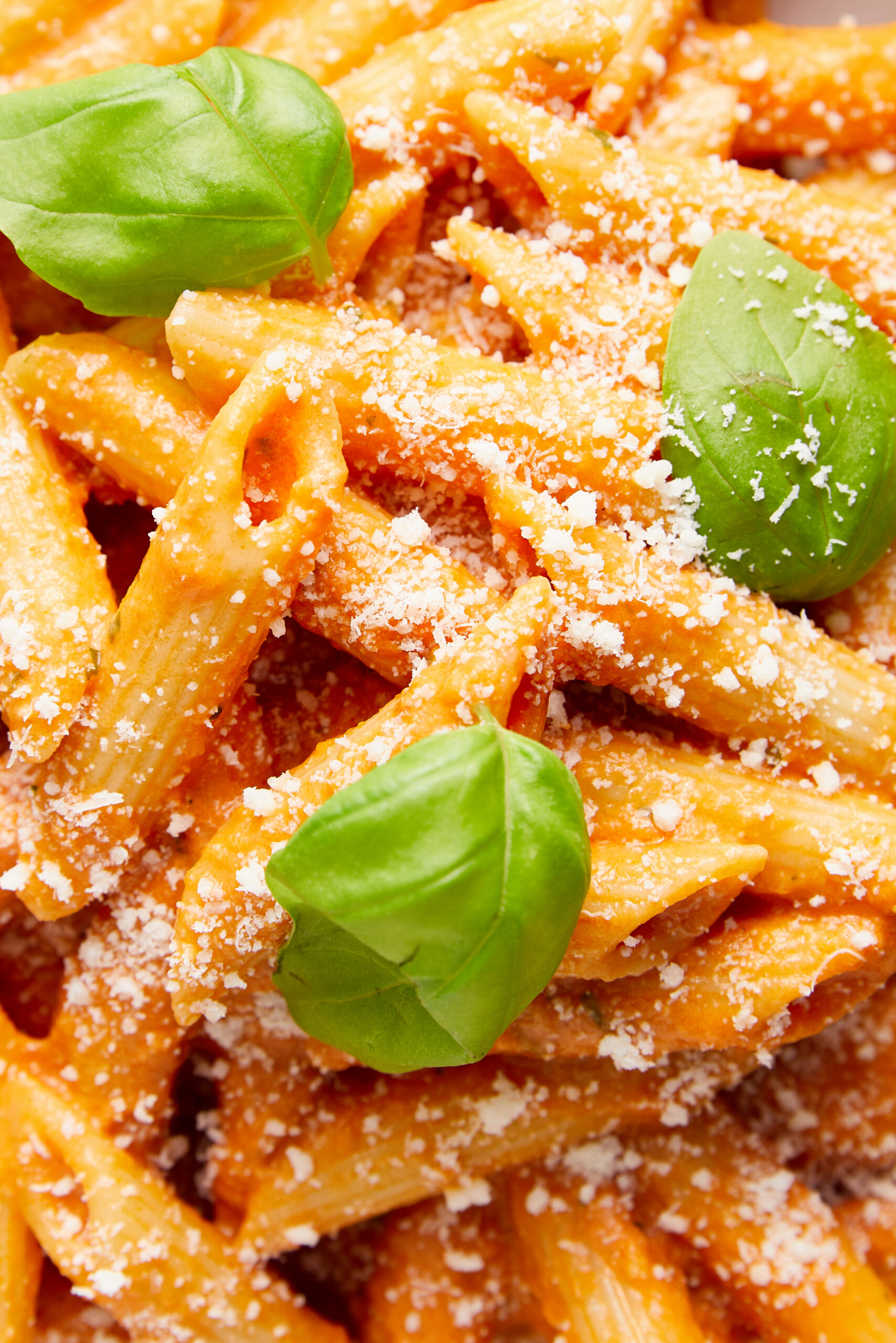Penne pasta with creamy vodka sauce, topped with grated Parmesan cheese and fresh basil leaves.